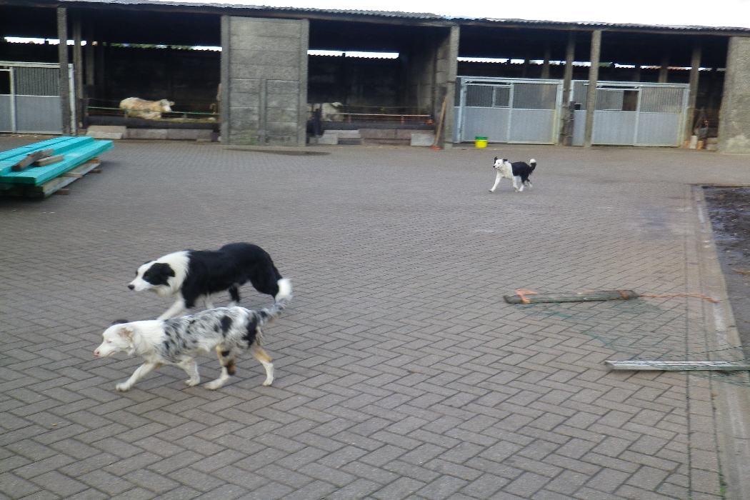 Turbos first day out 006