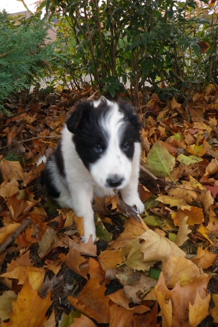 Turbos first day out 027